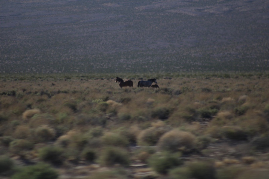 Field trip photograph 7