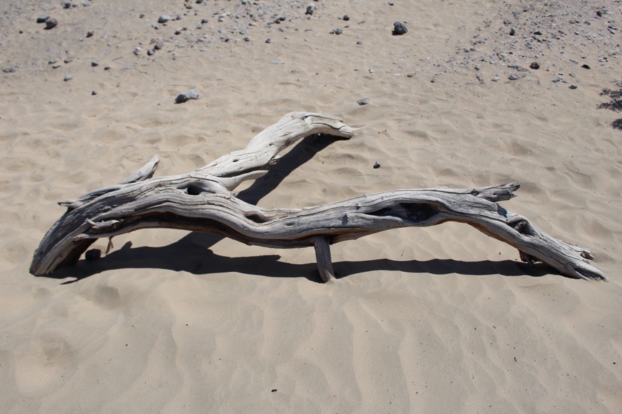 Field trip photograph 18