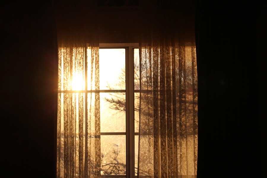 Field trip photograph 21